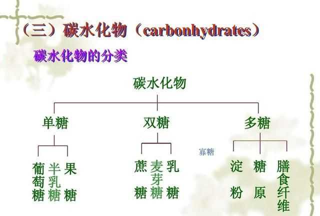 什么是碳水化合物，什么是碳水水化合物？圖3