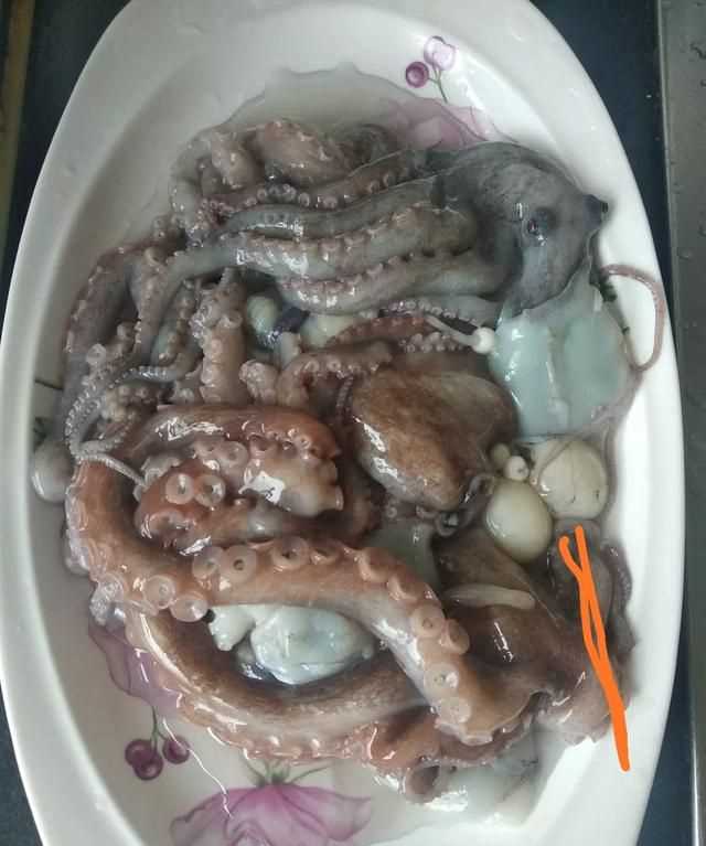 八爪魚的哪些部位不能吃
，八爪魚怎么吃好吃？哪里不能吃？圖3