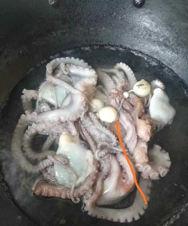 八爪魚的哪些部位不能吃
，八爪魚怎么吃好吃？哪里不能吃？圖5