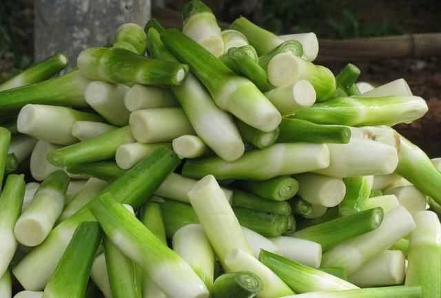 茭白發(fā)綠了還能吃嗎，茭白的葉子可以剪掉嗎？圖10