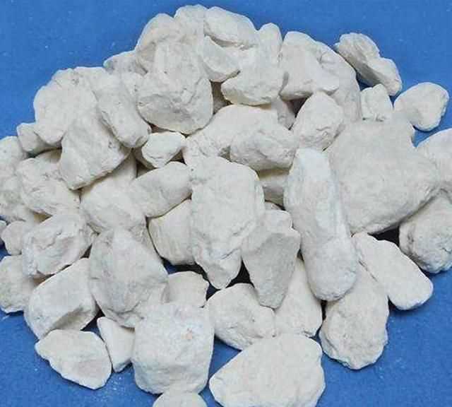 面粉長蟲子了怎么辦，買的面里面有小蟲子怎么辦？圖4