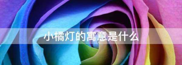 小橘燈的寓意是什么,一個男生為一個女生做小橘燈寓意什么呢圖2
