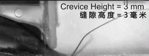 蟑螂多久會餓死，怎么才能切斷家里的水源徹底讓蟑螂餓死？圖9
