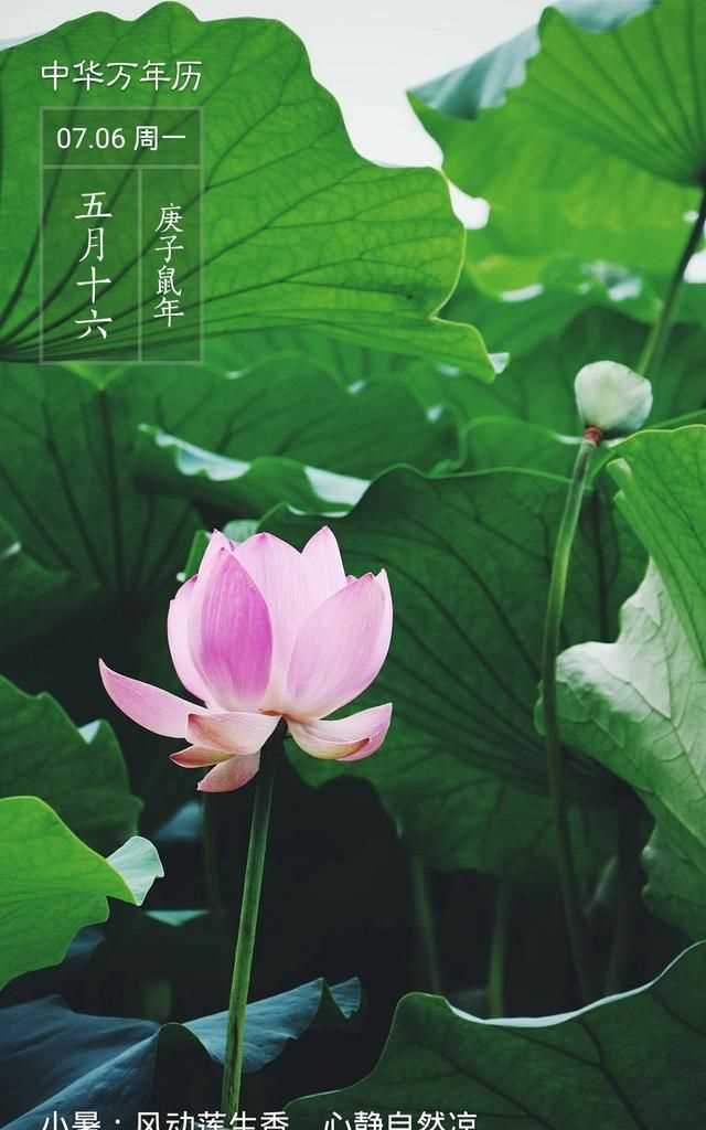 隋朝多少年，三國(guó)兩晉南北朝持續(xù)了多少年？圖3