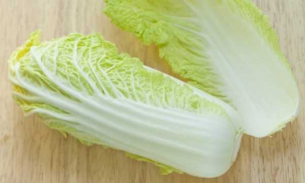 白菜每層都有黑點點是什么,白菜上的小黑點到底是什么東西圖3