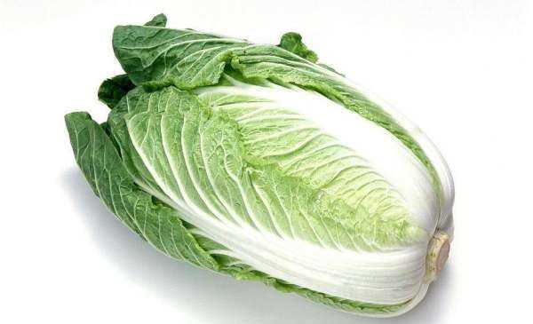 白菜每層都有黑點點是什么,白菜上的小黑點到底是什么東西圖6