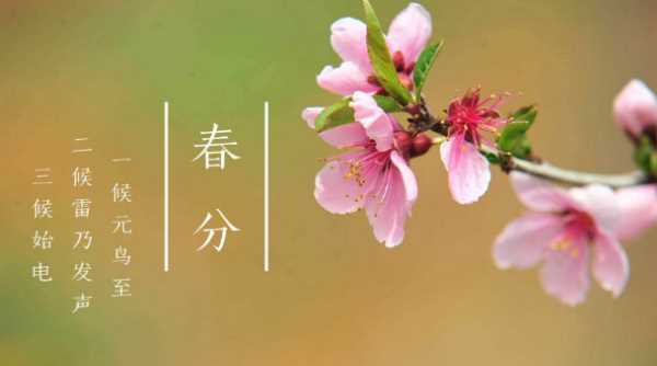 春分天氣就開始變暖了,天氣什么時(shí)候開始變暖2022圖4