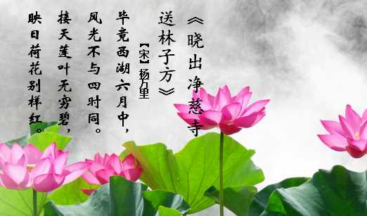 接天蓮葉無窮碧下一句是什么