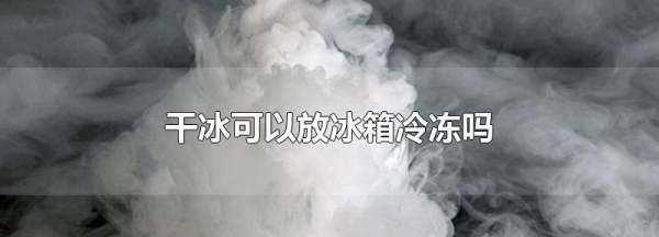 干冰能放冰箱冷凍室,干冰可以放冰箱冷凍嗎圖1