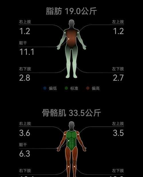 力量訓(xùn)練后體脂會下降是為什么呢