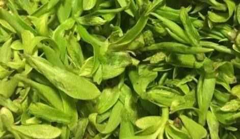 柳樹芽怎么吃,柳樹芽怎么做好吃,長(zhǎng)期吃可以嗎?圖1
