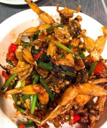 爆炒田雞的做法湘菜