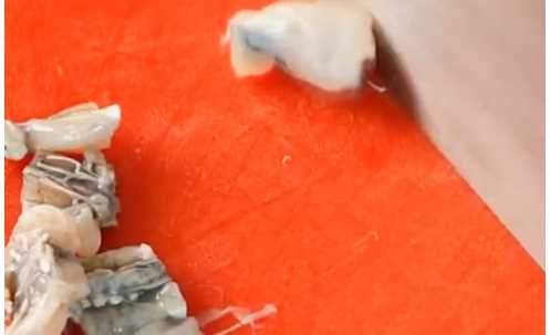 田雞怎么炒才不會老,炒田雞怎么做好吃圖11