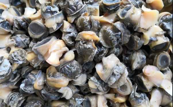 螺絲肉的功效與作用，螺絲肉怎么炒好吃？圖1