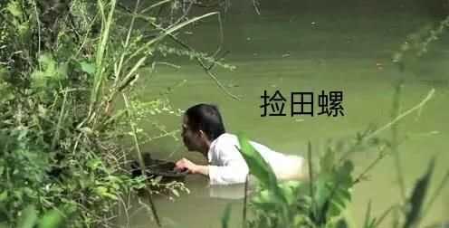 螺絲肉的功效與作用，螺絲肉怎么炒好吃？圖4