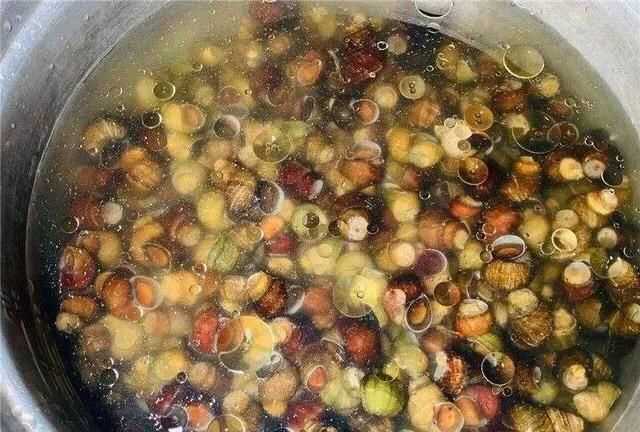 螺絲肉的功效與作用，螺絲肉怎么炒好吃？圖5