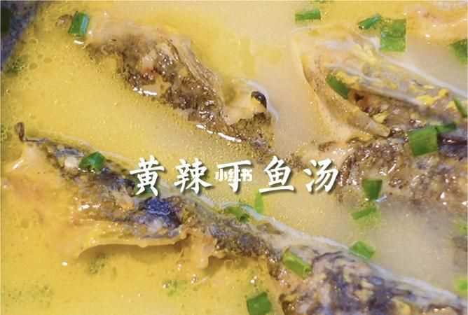 黃顙魚的功效與作用、禁忌和食用方法