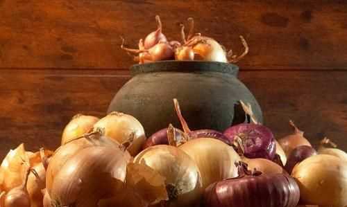 ，洋蔥能除甲醛嗎