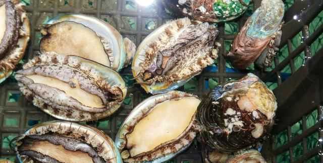 鮑魚要去內(nèi)臟嗎，鮑魚蒸地時(shí)候要去內(nèi)臟嗎？圖3