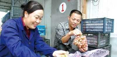 葡萄冷庫(kù)保鮮儲(chǔ)存方法,葡萄如何進(jìn)行冷庫(kù)貯藏保存圖4