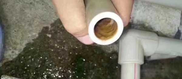 水管青苔堵塞如何疏通,黑色水管內(nèi)壁會長青苔嗎圖7