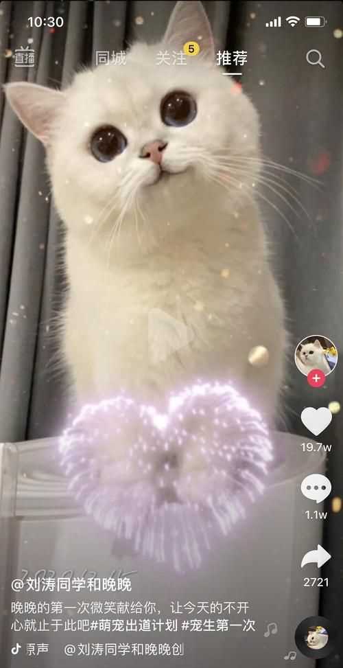 抖音那個搖頭的怎么弄