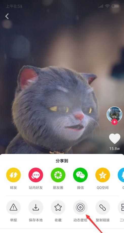 五個小貓咪搖頭是什么意思啊