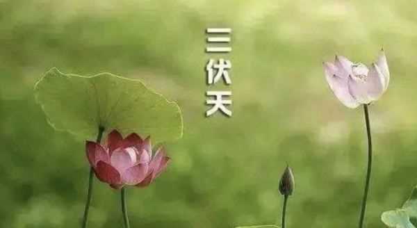 什么時候初伏天開始,2021三伏天從什么時候開始到什么時候結(jié)束圖1