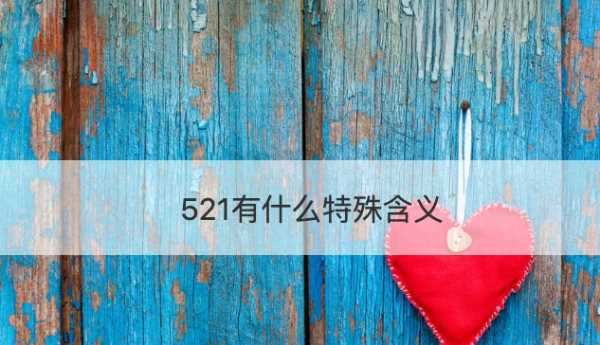 52的真正含義,51代表什么愛情含義圖3