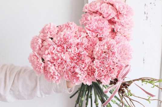 52的真正含義,51代表什么愛情含義圖6