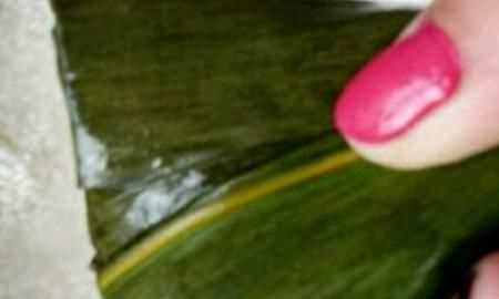 蜜棗粽子的做法，蜜棗粽子的做法和包法？圖15