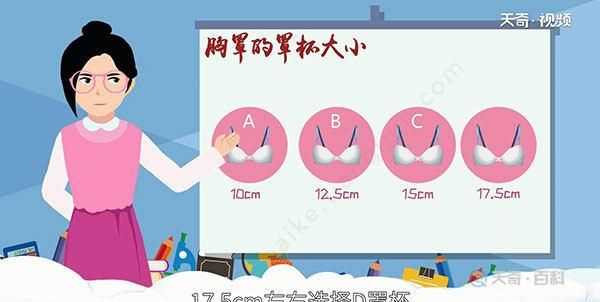 文胸尺寸，文胸尺碼表是以什么為對照表？圖3