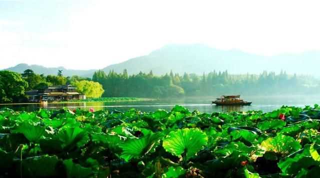 曉出凈慈寺送林子方古詩的意思，曉出凈慈寺送林子方古詩最簡單易懂的意思是什么？圖3