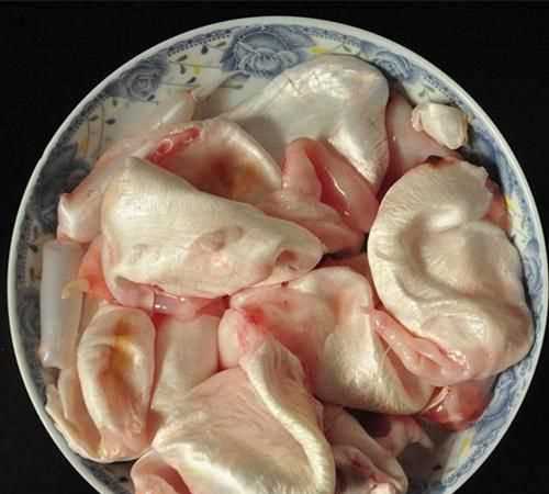 魚泡干是什么
