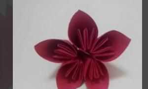 花怎么折，紙花怎么做？圖7