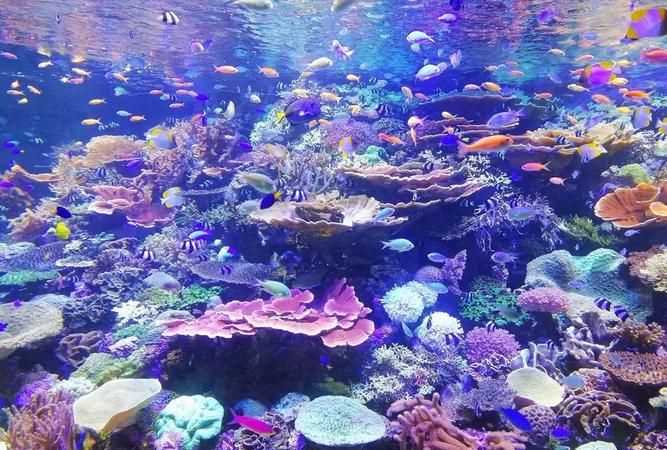 航速30節(jié)等于多少kmh，一海里等于多少公里