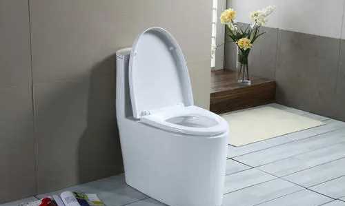 馬桶會反味,馬桶經(jīng)常反味,晚上特別臭圖1