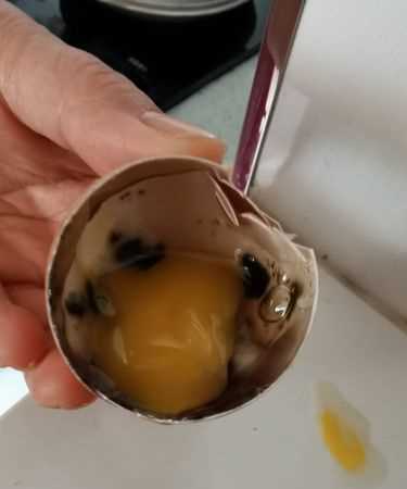 煮熟的雞蛋變質(zhì)了吃了會(huì)怎樣