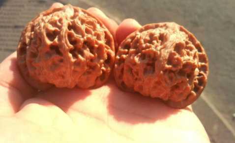 文玩一紅二黑三白四黃是啥,文玩一紅二黑三白四綠中的綠是什么意思圖1