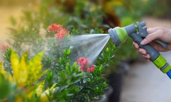 怎么判斷見干見濕,見干見濕和間干間濕有什么區(qū)別圖3