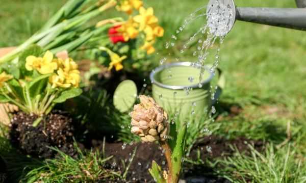 怎么判斷見干見濕,見干見濕和間干間濕有什么區(qū)別圖4