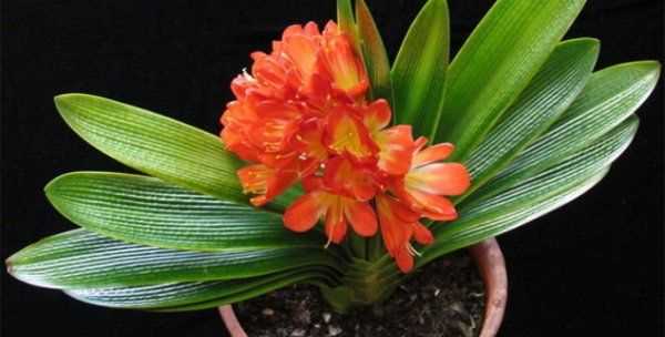 怎么判斷見干見濕,見干見濕和間干間濕有什么區(qū)別圖8