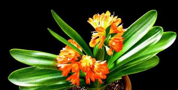 怎么判斷見干見濕,見干見濕和間干間濕有什么區(qū)別圖9