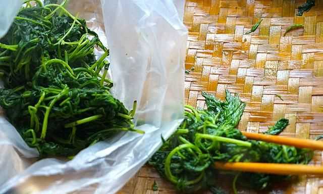 青團不放冰箱會壞嗎，家庭版青團簡單做法？圖10