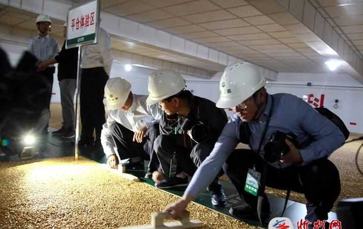 石家莊是副省城市嗎