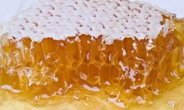 什么東西不會過期,永不過期的10種食物是真的嗎圖8