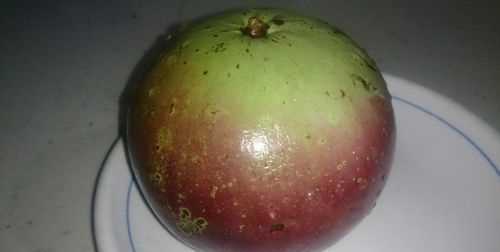 蘋果的作用與功效