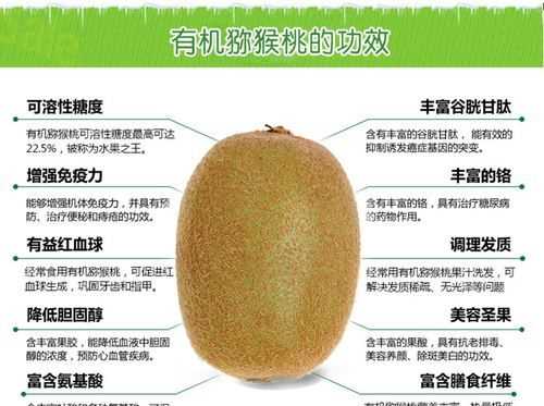 獼猴桃加冰糖發(fā)酵后怎么保存口感不變又能放時(shí)間長(zhǎng)的呢