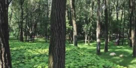 怎么辨別方向東南西北，現(xiàn)實(shí)生活中怎樣辨別方向？確定東南西北！請(qǐng)舉例詳細(xì)說(shuō)明？圖6