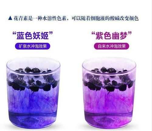 花青素存在于細(xì)胞的什么當(dāng)中